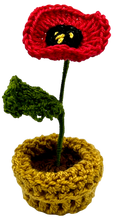 Crocheted Mini Flower Pots