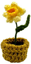 Crocheted Mini Flower Pots