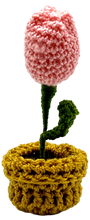 Crocheted Mini Flower Pots
