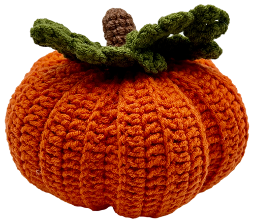 NEW! Crocheted Rustic Pumpkin