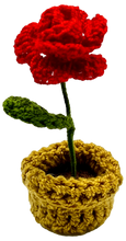 Crocheted Mini Flower Pots