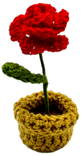 NEW! Crocheted Mini Flower Pots