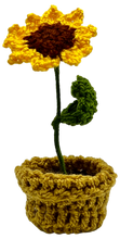Crocheted Mini Flower Pots