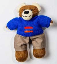 Small Berd Boy Teddy Bear